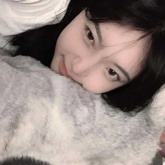 槑头槑脑3